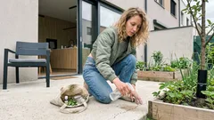 Mravce v záhrade sa stále vracajú? Ocot a mydlo pomôžu, no rozhoduje jeden často prehliadaný dôvod