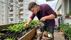 Vodnatá reďkovka v záhrade: pár detailov v pôde, zálievke a výžive rozhodne o chrumknutí