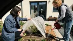 Ako rozhýbať hortenzie k skoršiemu kvitnutiu: teplo, vzduch a pár drobných návykov